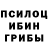 Галлюциногенные грибы GOLDEN TEACHER Natallia Laurova