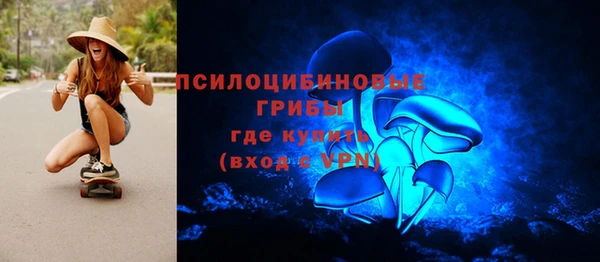 дмт Алексин