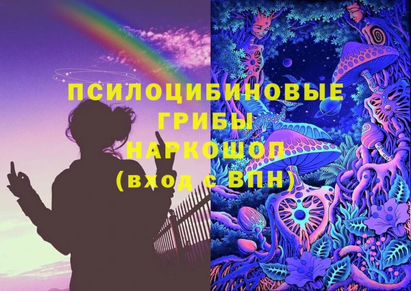 ешки Алзамай
