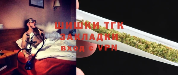 дмт Алексин