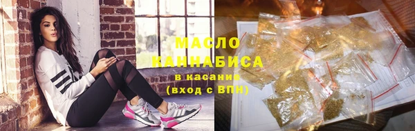 дмт Алексин