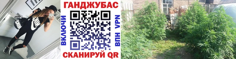 Марихуана марихуана  blacksprut онион  Новомичуринск  магазин продажи  